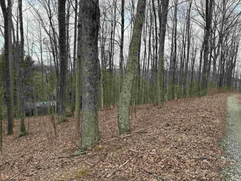 Residential Land in Belington, WV