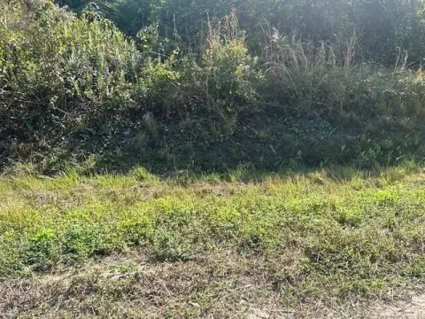 Residential Land in Okeechobee, FL