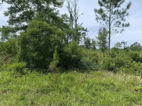 Recreational Land Near Trails