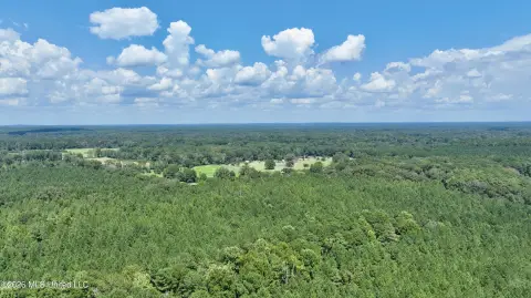 Wooded Recreation Land with Homesite