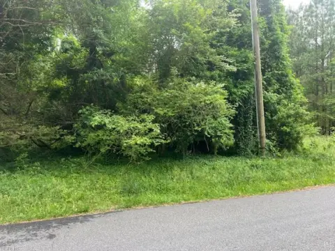 Residential Lot in Claremont, VA