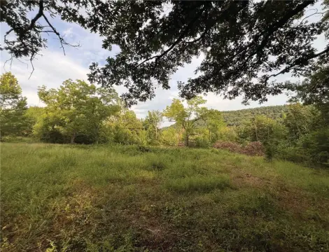 Ozark Mountain Land Parcel
