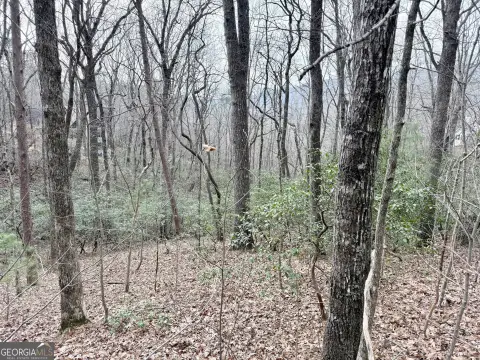 Residential Land in Clayton, GA