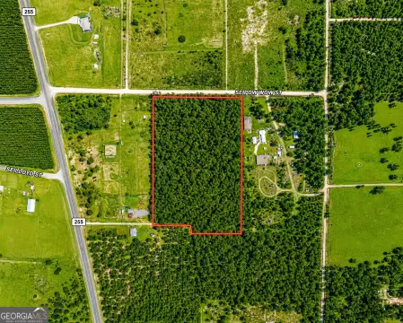Wooded Acreage with Road Frontage