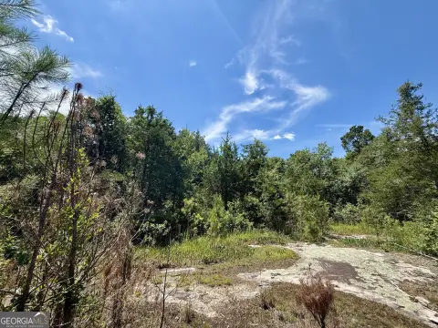 Wooded Residential Development Tract