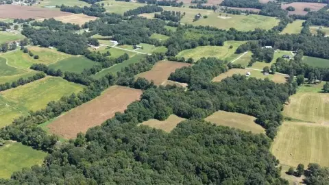 Agricultural Land with Wooded Acreage