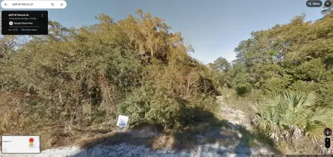 Expansive Wooded Lot in Homosassa
