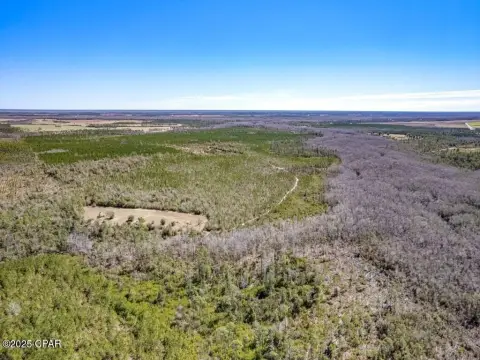 336 Acres of Prime Timberland
