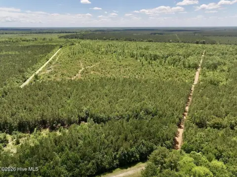 Hunting Land with Timber