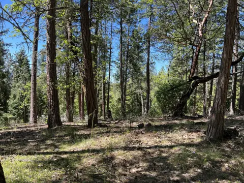 Land Near Lost Creek Lake