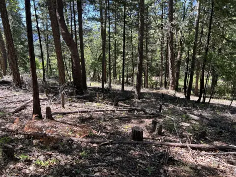 Land Near Lost Creek Lake