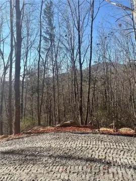 Residential Land in Sautee Nacoochee