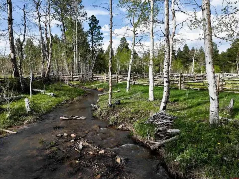 High Country Ranch Bordering National Forest