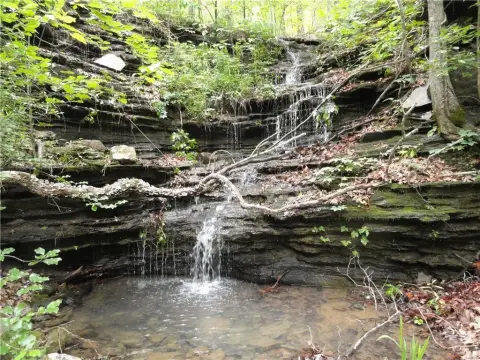 Recreational Hunting Land with Build Sites