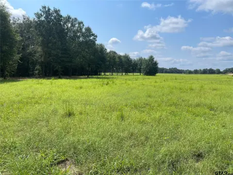 10 Acres in Meadow Park
