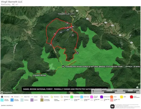 Land Bordering National Forest