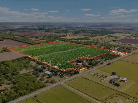 Producing Citrus Farm