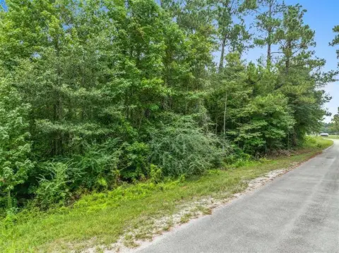 Wooded Unrestricted Land