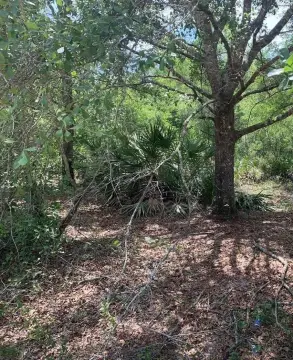 Recreational Land in Kathleen, Florida