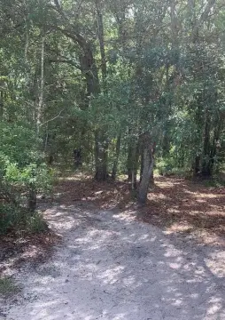 Recreational Land in Kathleen, Florida