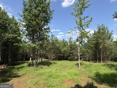 Hunting Land with Timber