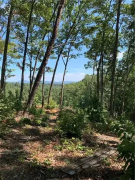 Blue Ridge Mountain View Homesite