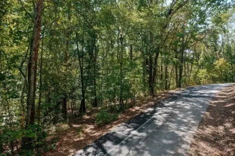 Lake Lanier Buildable Lot