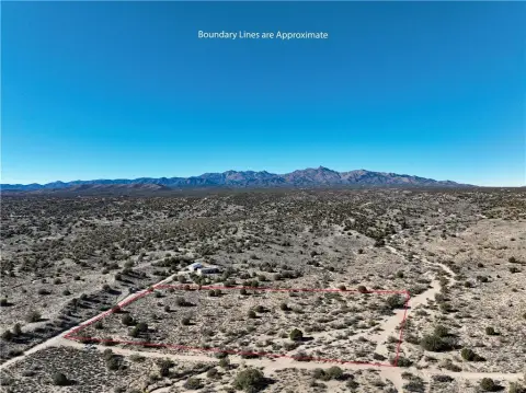 Kingman, AZ Treed Land