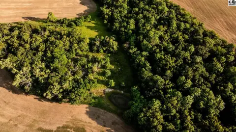 Agricultural Land Tract with Creek Timber