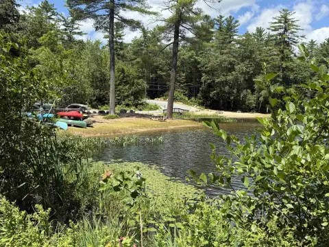 Wooded Land in Madison, NH