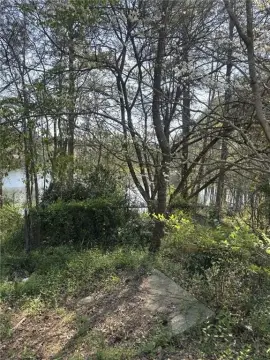 Waterfront Lot in Stoneleigh