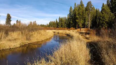 Riverfront Land in La Pine