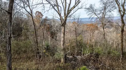 Hixson Land with Bluff Views