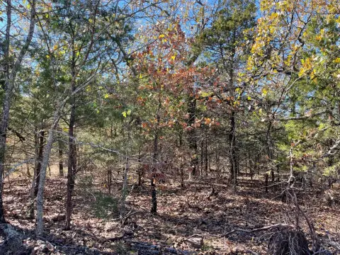 Wooded Recreational Land Retreat