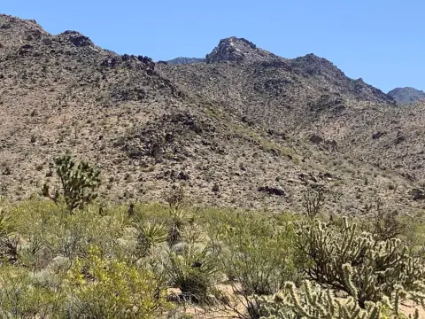 Off-Grid Desert Recreation Land