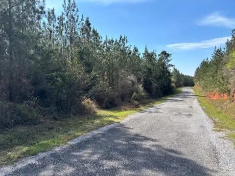 Pine Plantation Land