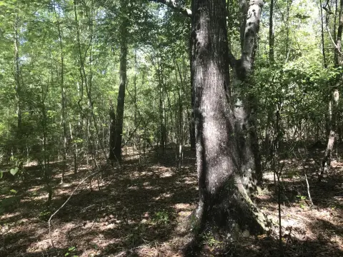 Commercial Land Parcel for Development