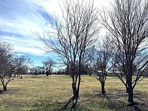 Residential Lots in Tyndall, SD