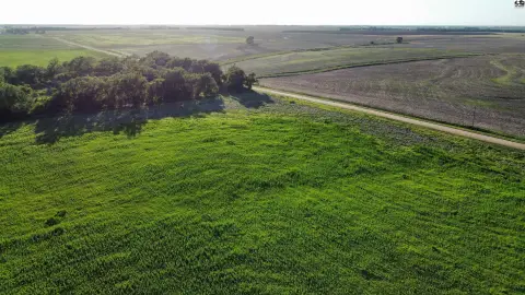 Rural Homesite with Shelterbelt