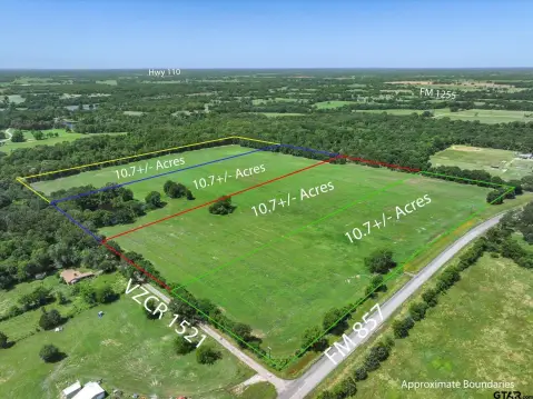 Grand Saline Acreage with Options