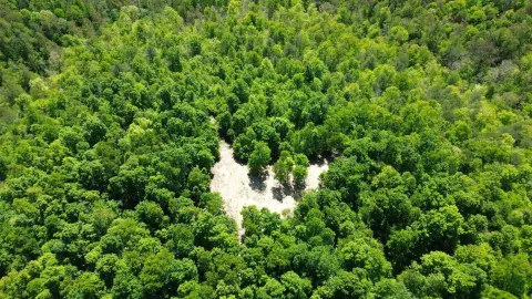 Hunting Land with Gated Access