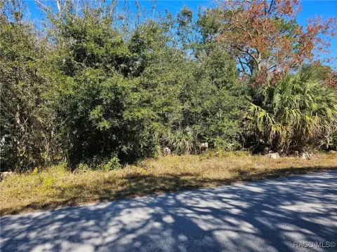 Homosassa Land For Sale