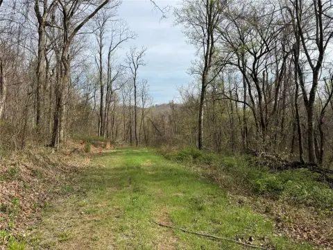 Ozark Hunting and Recreation Land