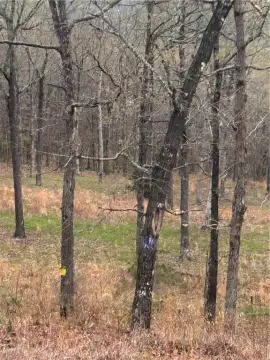 Huntsville Land with Wooded Acreage