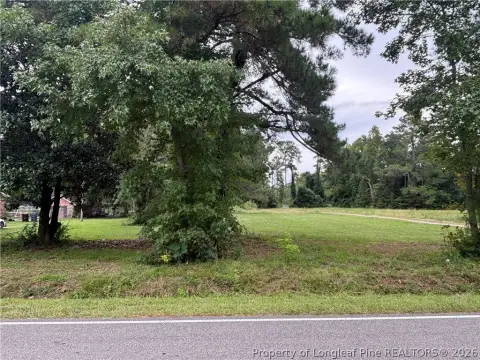 Partially Cleared Land