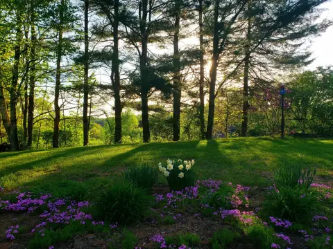 Land in Lakes Region