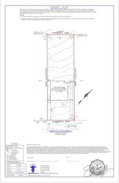 Cleared Lot in Little Forest