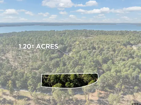 Wooded Lot in Bullard School