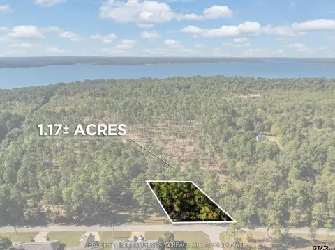 Wooded Lot in Bullard School