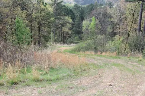 Hog Thief Valley Hunting Land